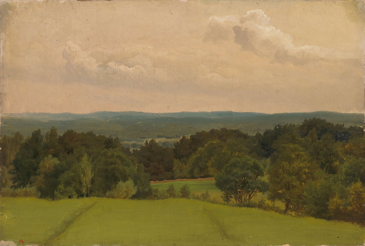 Senza titolo da Werner Holmberg