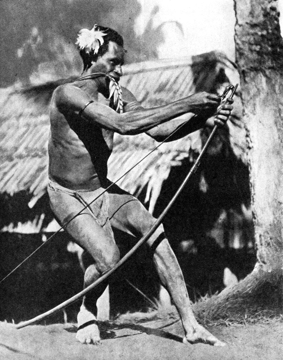 Un cacciatore che tende il suo arco, 1936 da Wide World Photos
