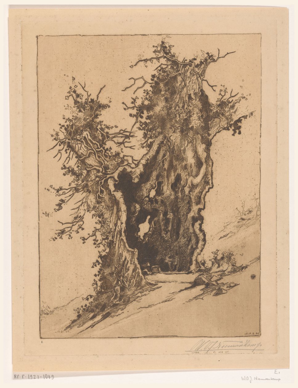 Albero cavo vicino a Seelisberg in Svizzera da Wijnand Otto Jan Nieuwenkamp (signed by artist)