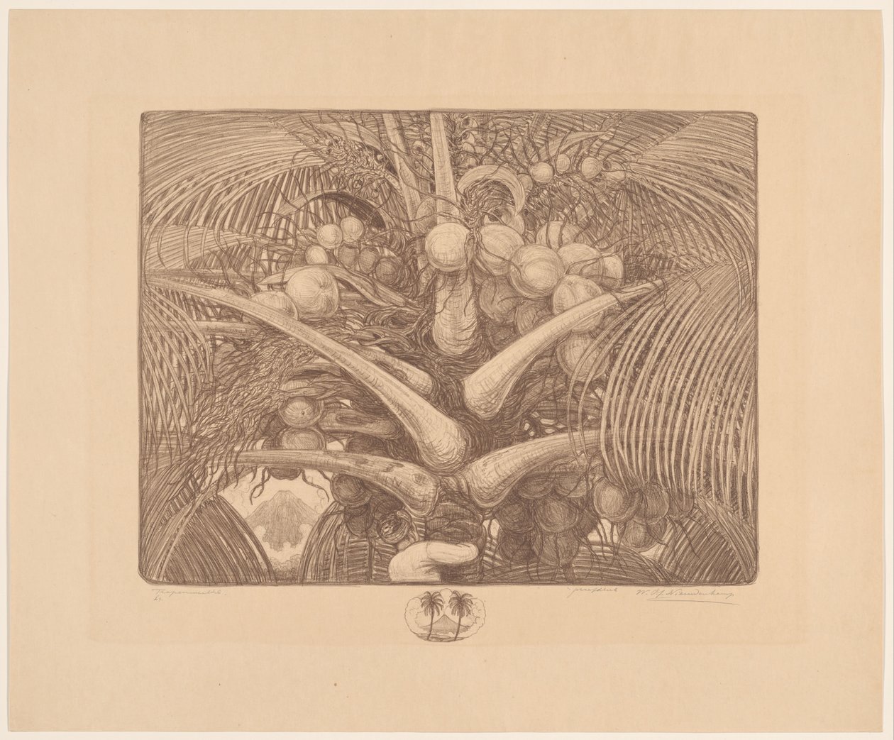Cima di una palma da cocco da Wijnand Otto Jan Nieuwenkamp (signed by artist)