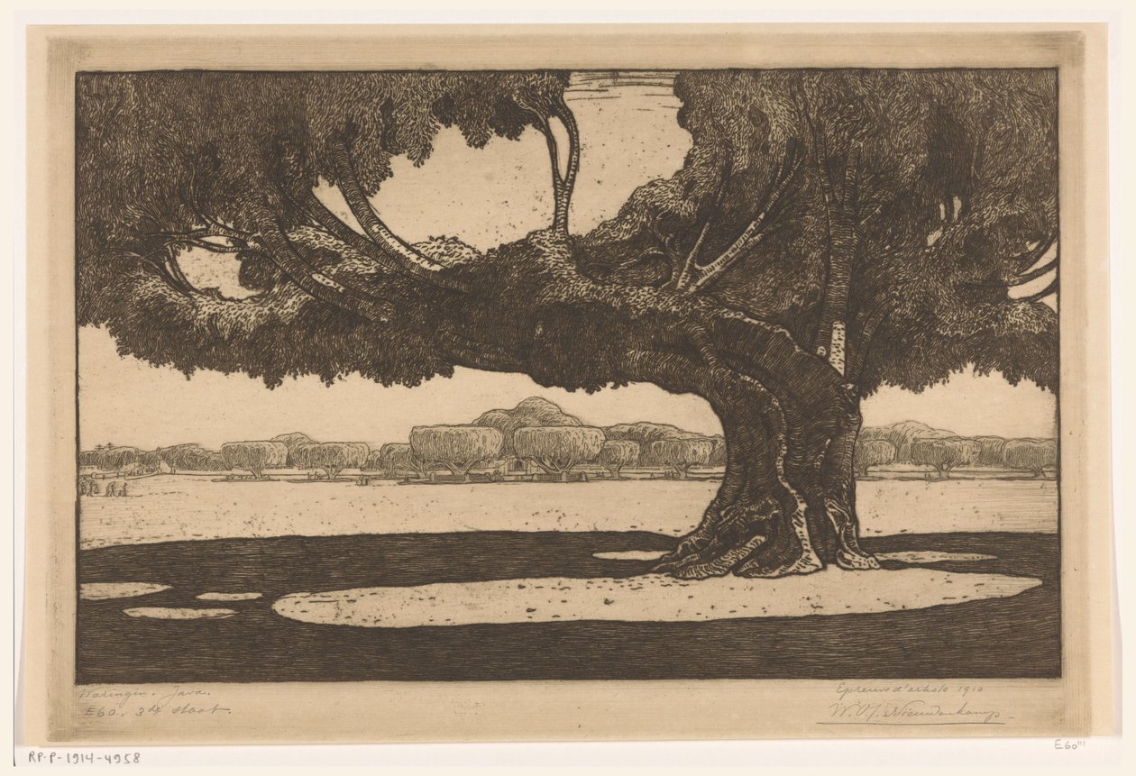 Alberi di waringin nel giardino del palazzo del sultano a Yogyakarta da Wijnand Otto Jan Nieuwenkamp (signed by artist)