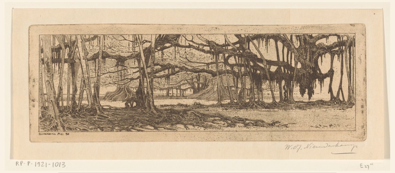 Alberi di waringin in un giardino a Buitenzorg da Wijnand Otto Jan Nieuwenkamp (signed by artist)