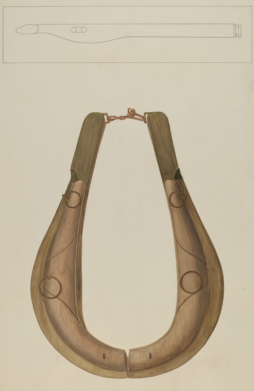 Collare e finimenti per cavallo, c. 1938 da Wilbur M Rice