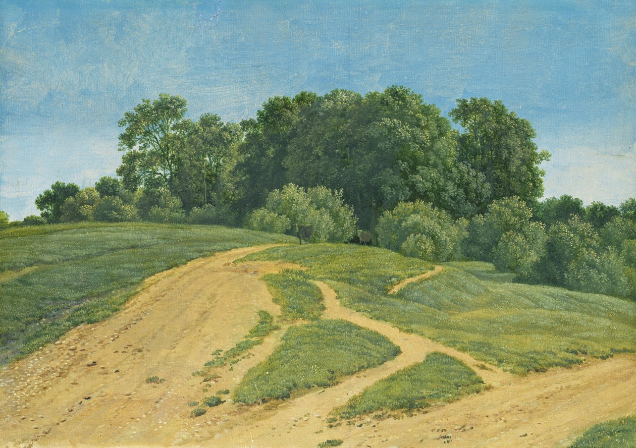 Un sentiero attraverso i campi, c.1821 da Wilhelm Alexander Kobell