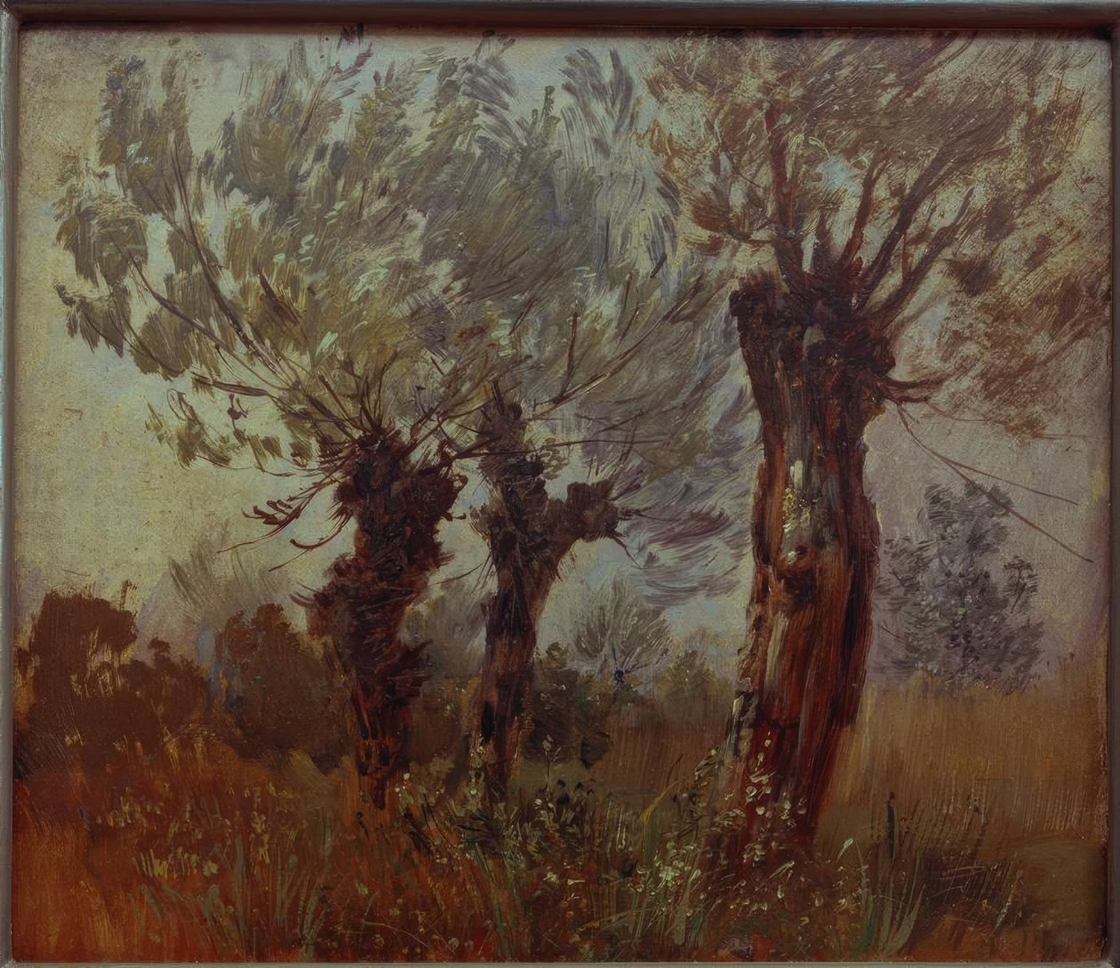 Tre vecchi salici da Wilhelm Busch