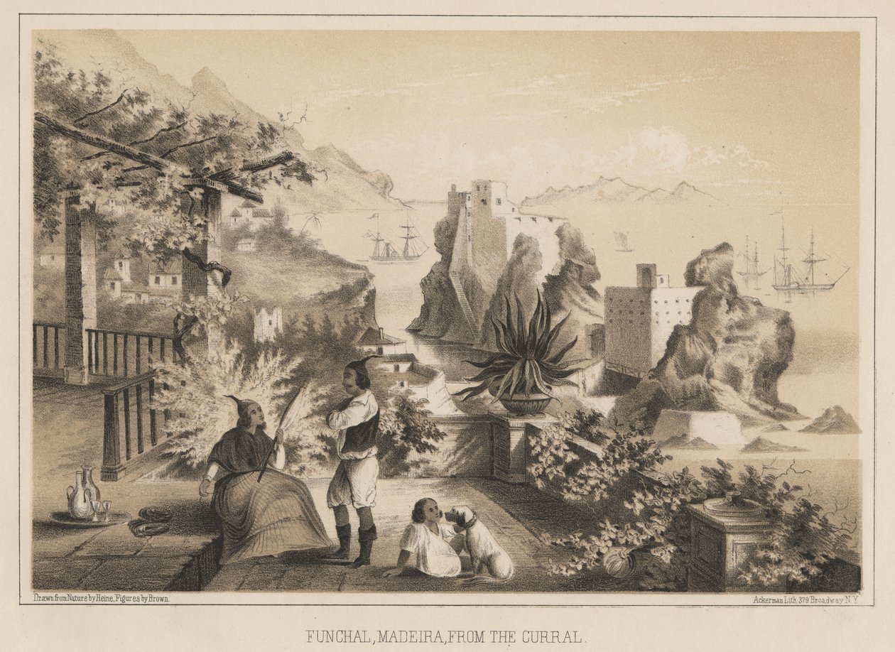 Funchal, Madeira, dal Curral, 1885 da Wilhelm Joseph Heine