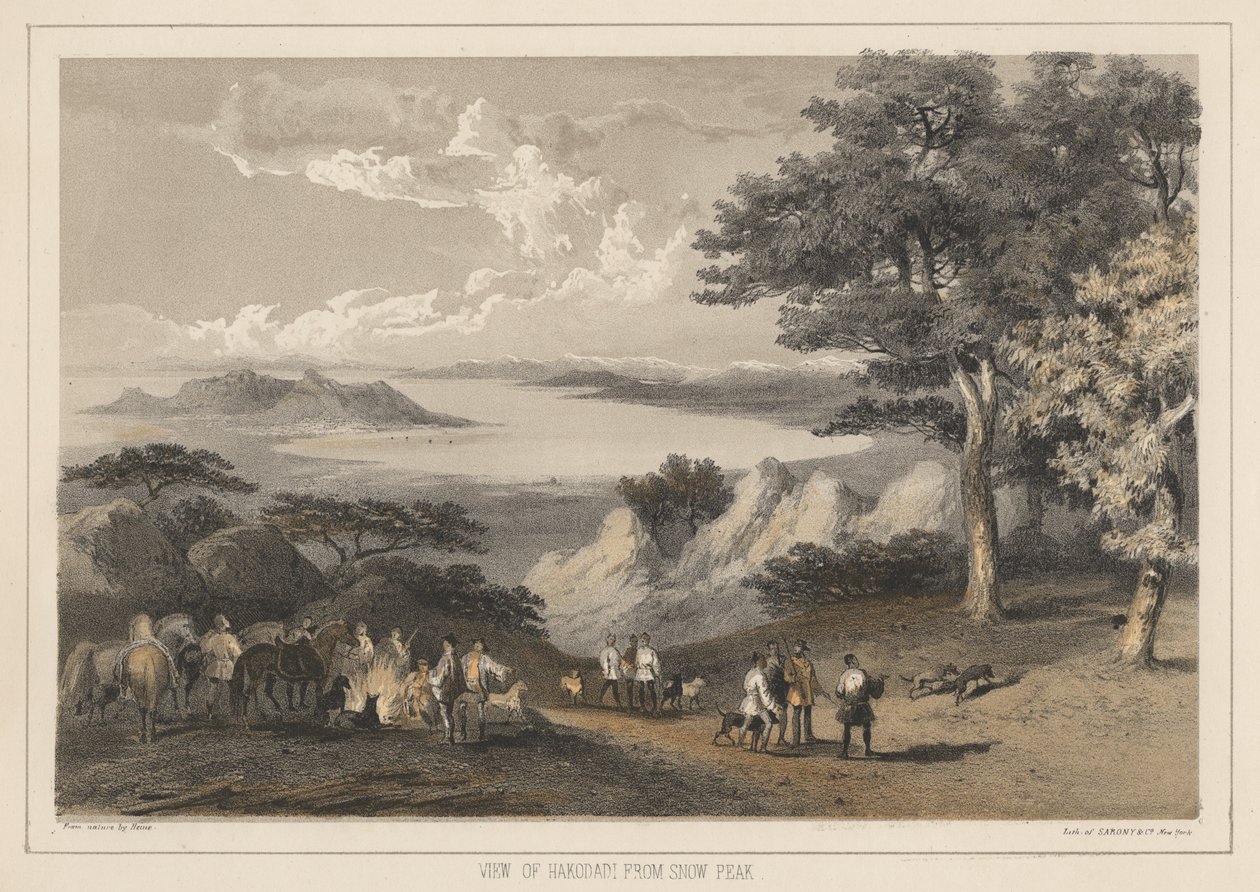 Veduta di Hakodadi dal picco innevato, 1855 da Wilhelm Joseph Heine