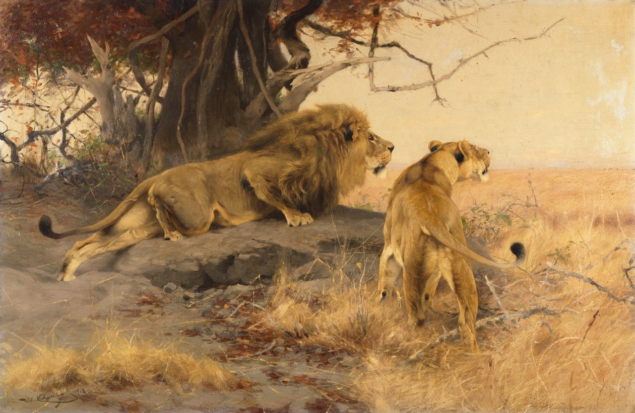 Un Leone e una Leonessa nella Savana da Wilhelm Kuhnert