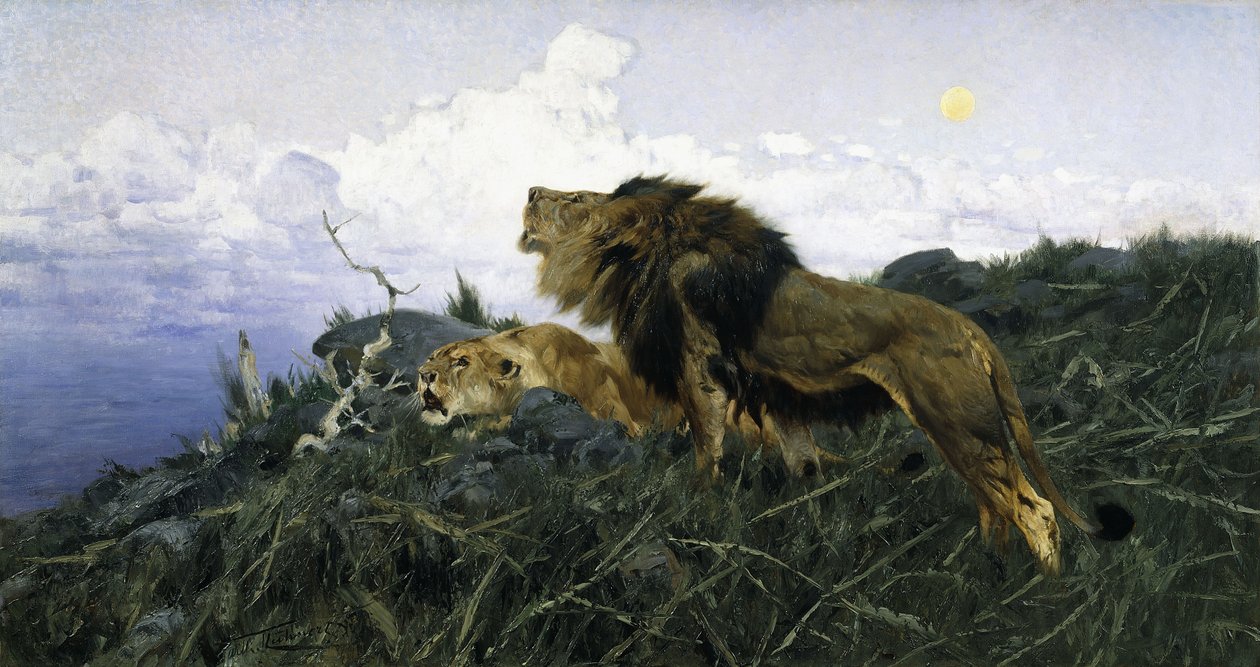 Leoni al crepuscolo da Wilhelm Kuhnert
