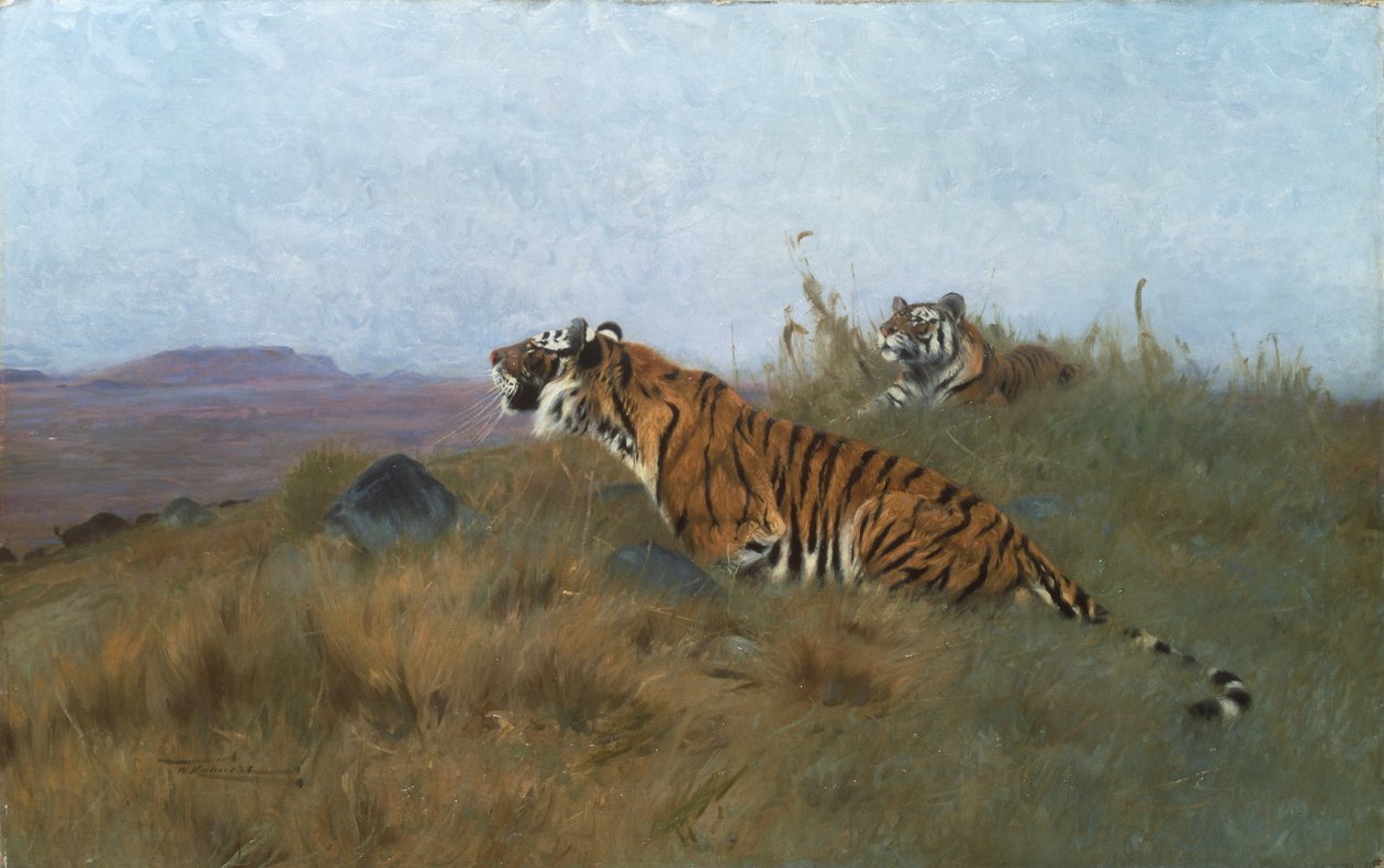 Tigri che inseguono la preda da Wilhelm Kuhnert