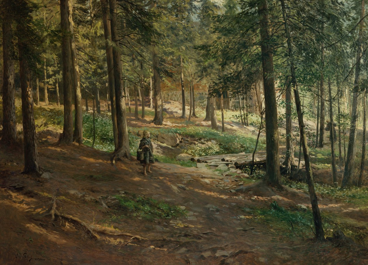 Paesaggio forestale da Wilhelm Peters