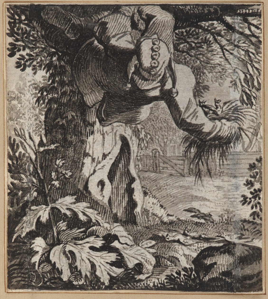 Il Matto Audace da Wilhelm Stettler