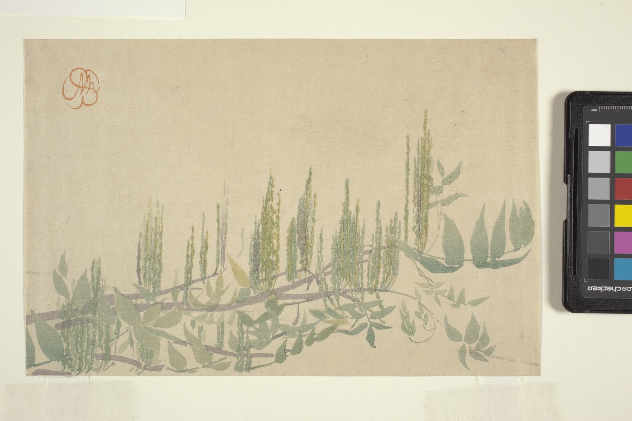 Glicine, c.1908 da Wilhelmina Seegmiller