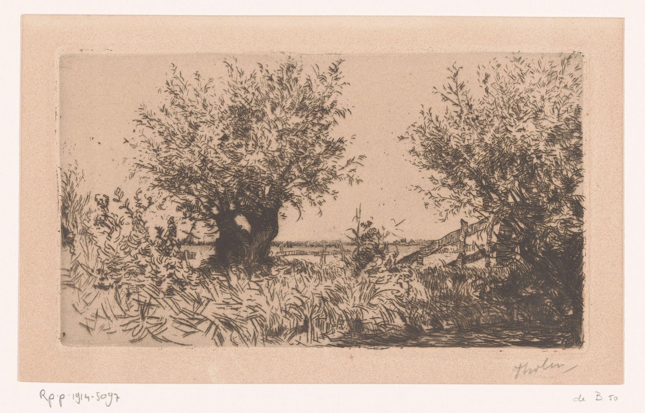 Paesaggio con prato, salici e recinzione da Willem Bastiaan Tholen (signed by artist)