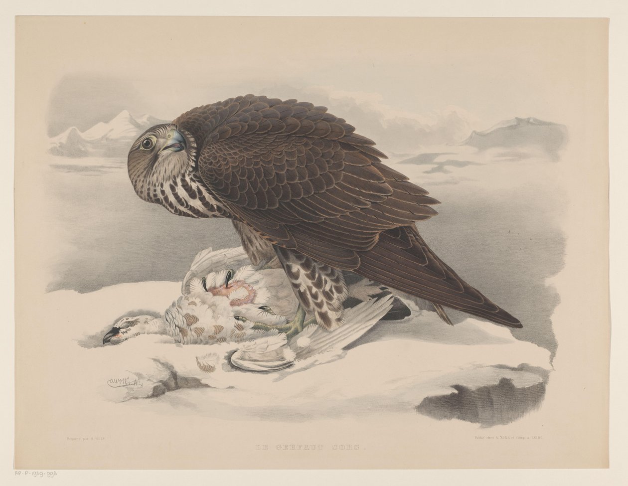 Falco pellegrino con pernice bianca (Le gerfaut sors) da Willem Bastiaan van Wouw