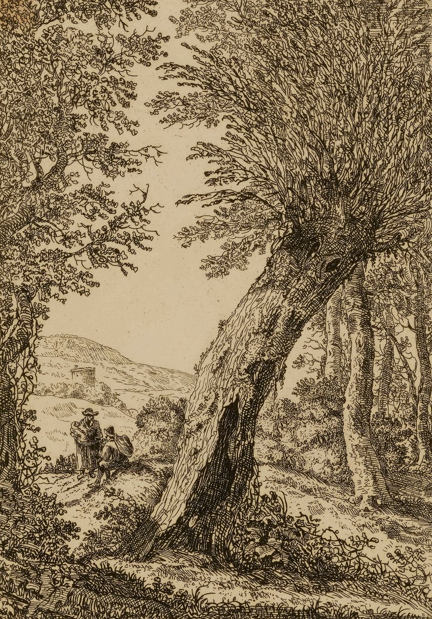 Paesaggio con salice da Willem Bemmel