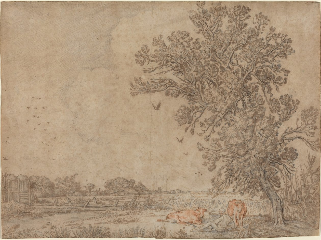 Prato con un pastore e mucche da Willem Buytewech