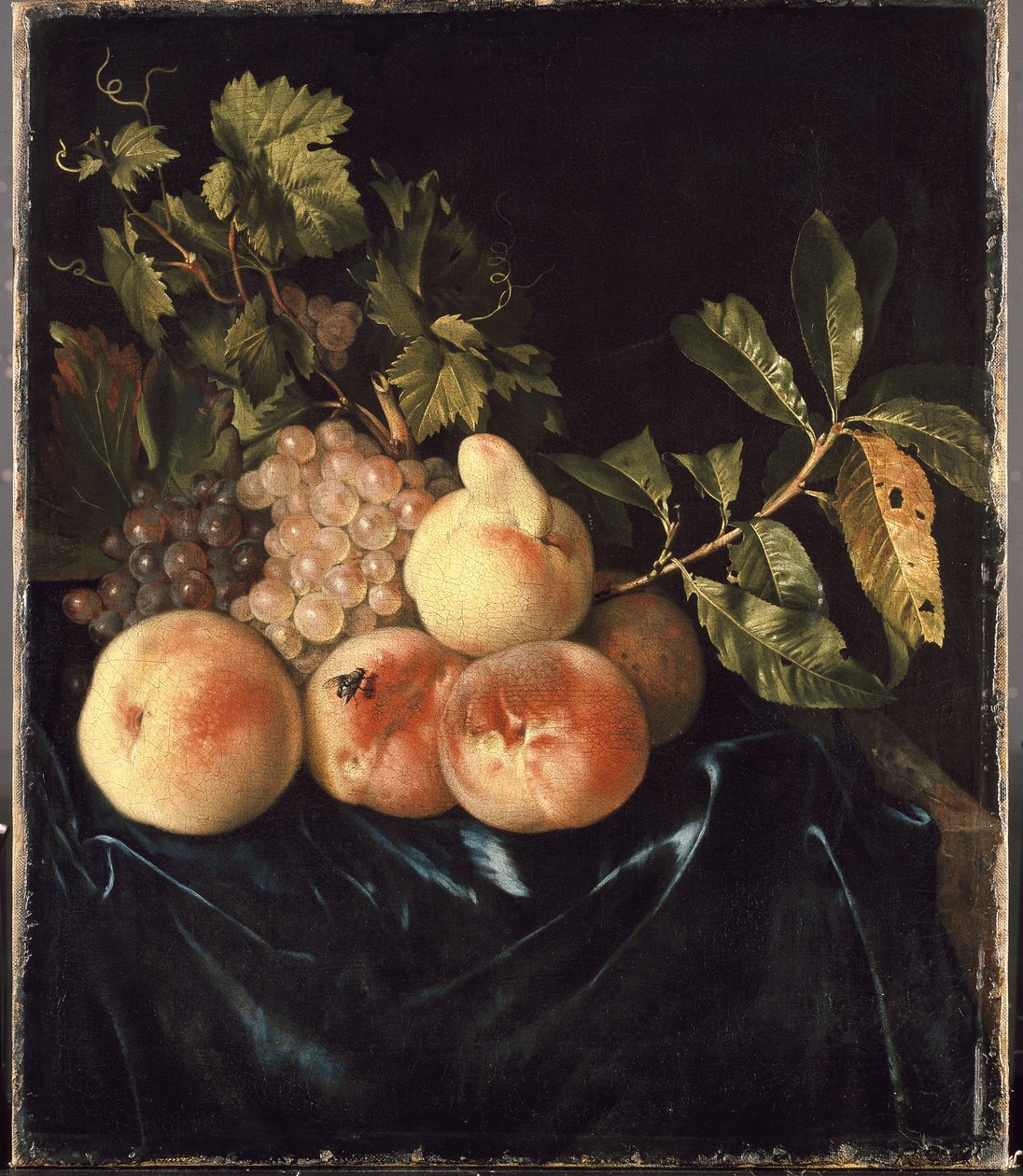 Natura morta con pesche e uva da Willem Frederik van Royen