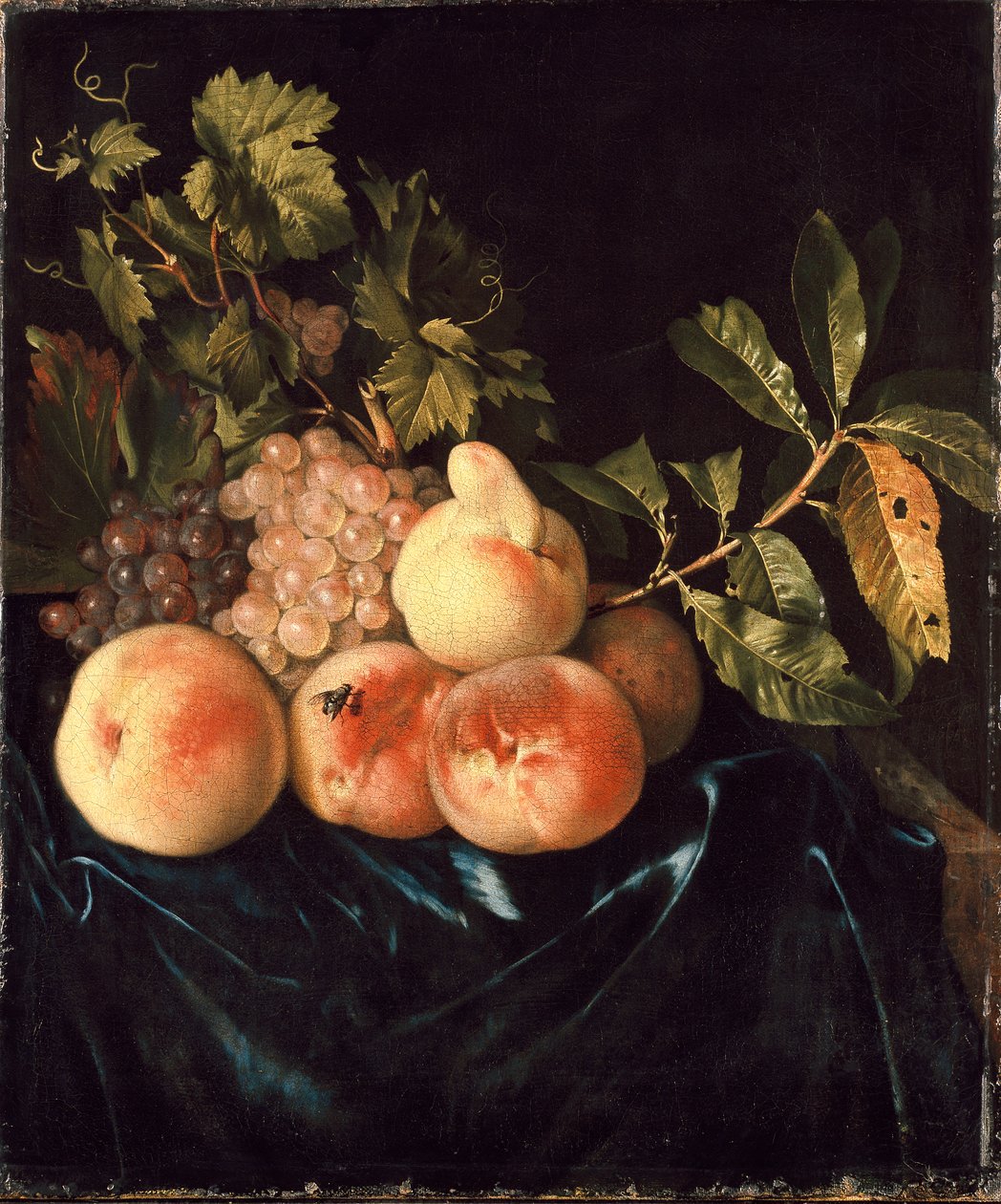 Natura morta di pesche e uva, 1705 da Willem Frederiksz van Royen