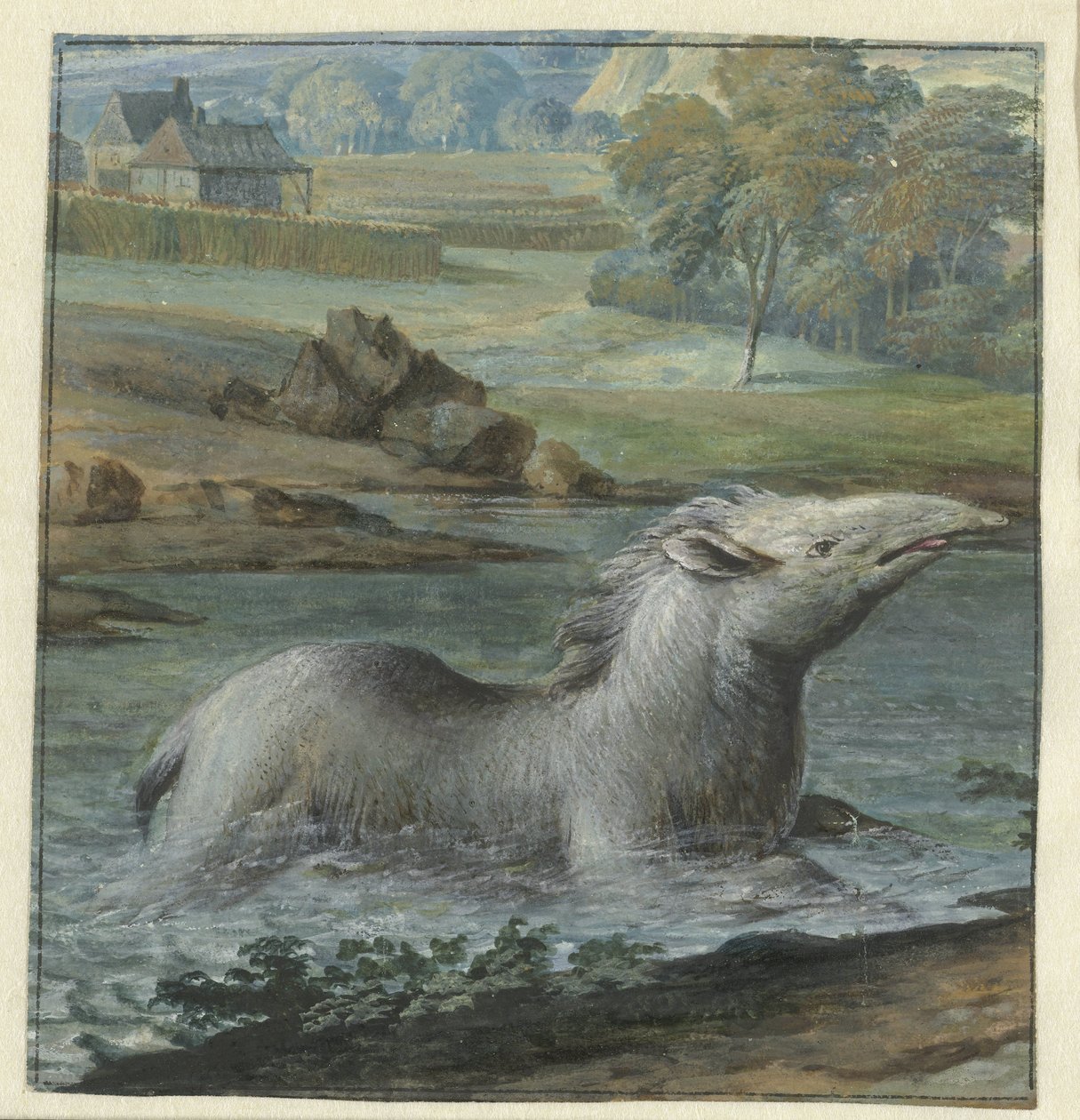 Tapir nell