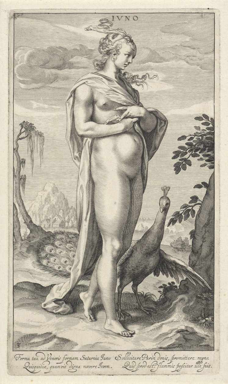 Giunone con pavone da Willem Isaacsz. van Swanenburg