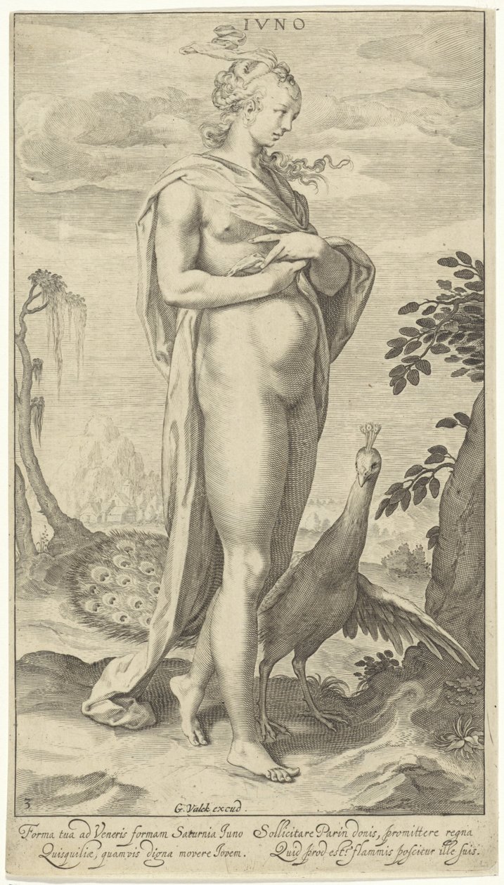 Giunone con pavone da Willem Isaacsz. van Swanenburg