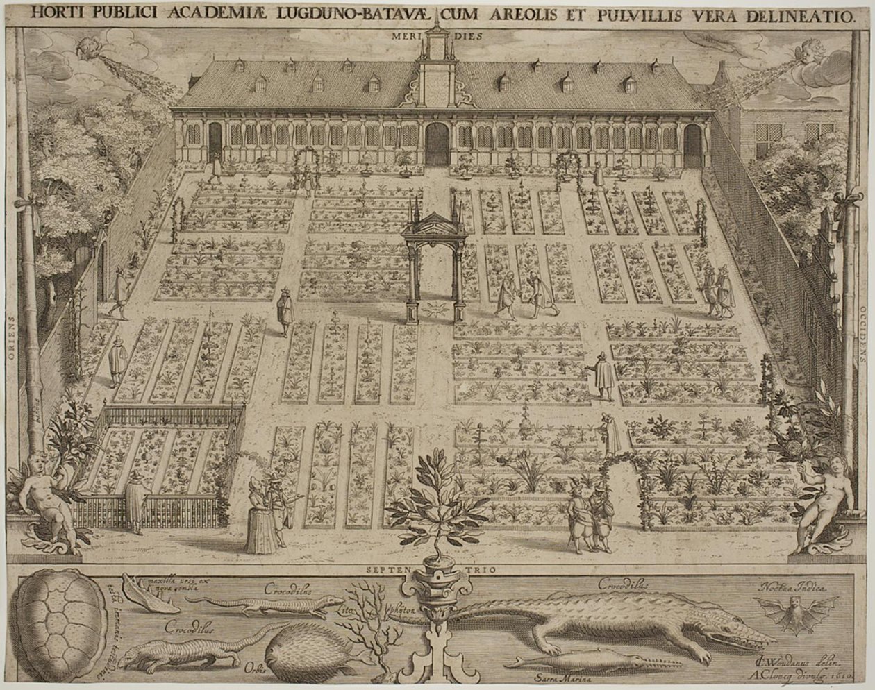 Il giardino botanico di Leida da Willem Isaaksz Swanenburgh