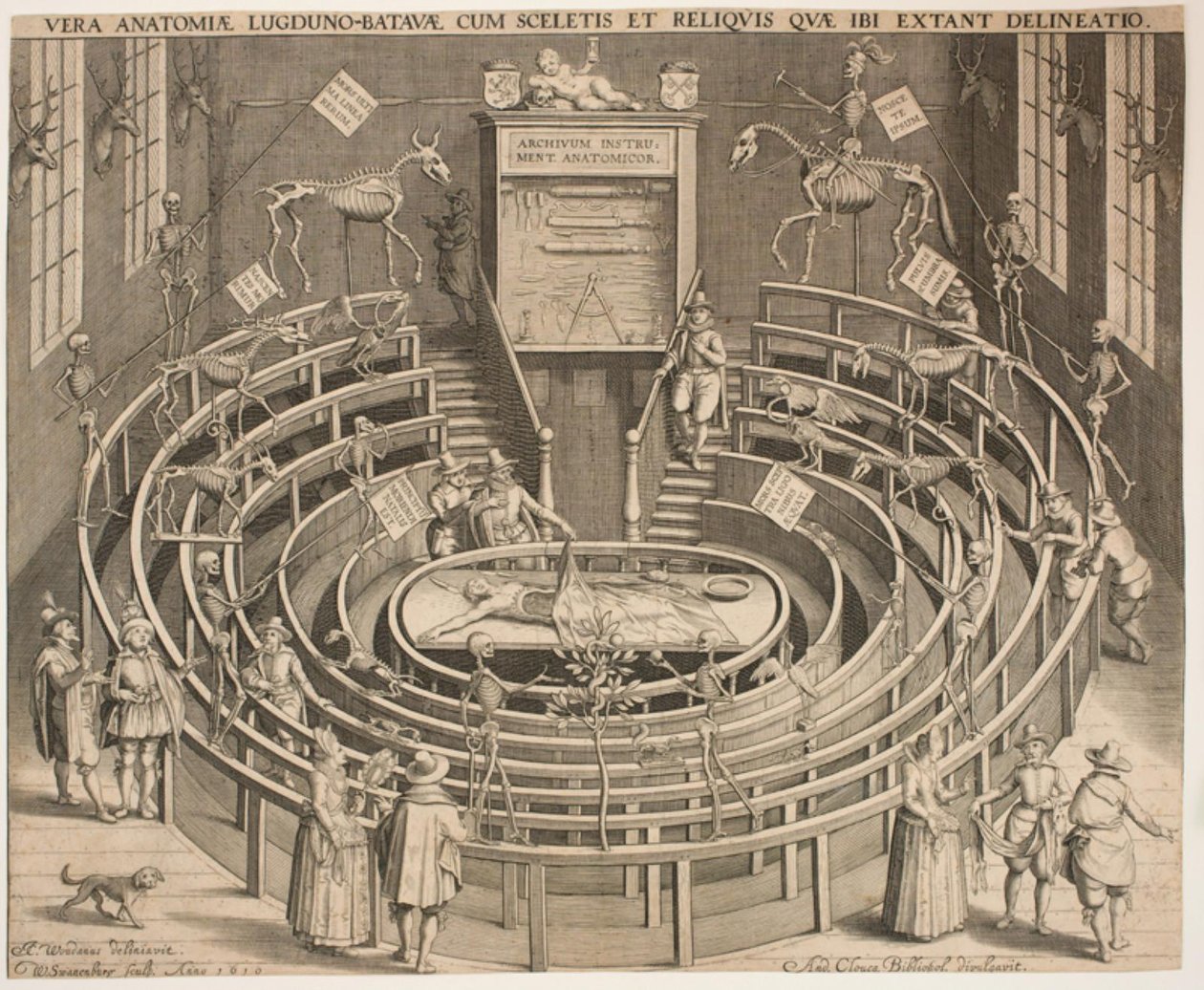 La sala del teatro anatomico a Leida da Willem Isaaksz Swanenburgh