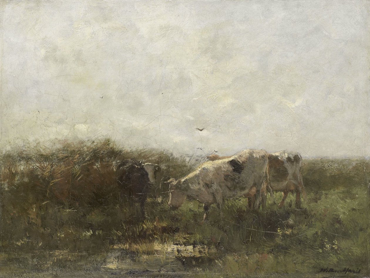 Mucche da Willem Maris