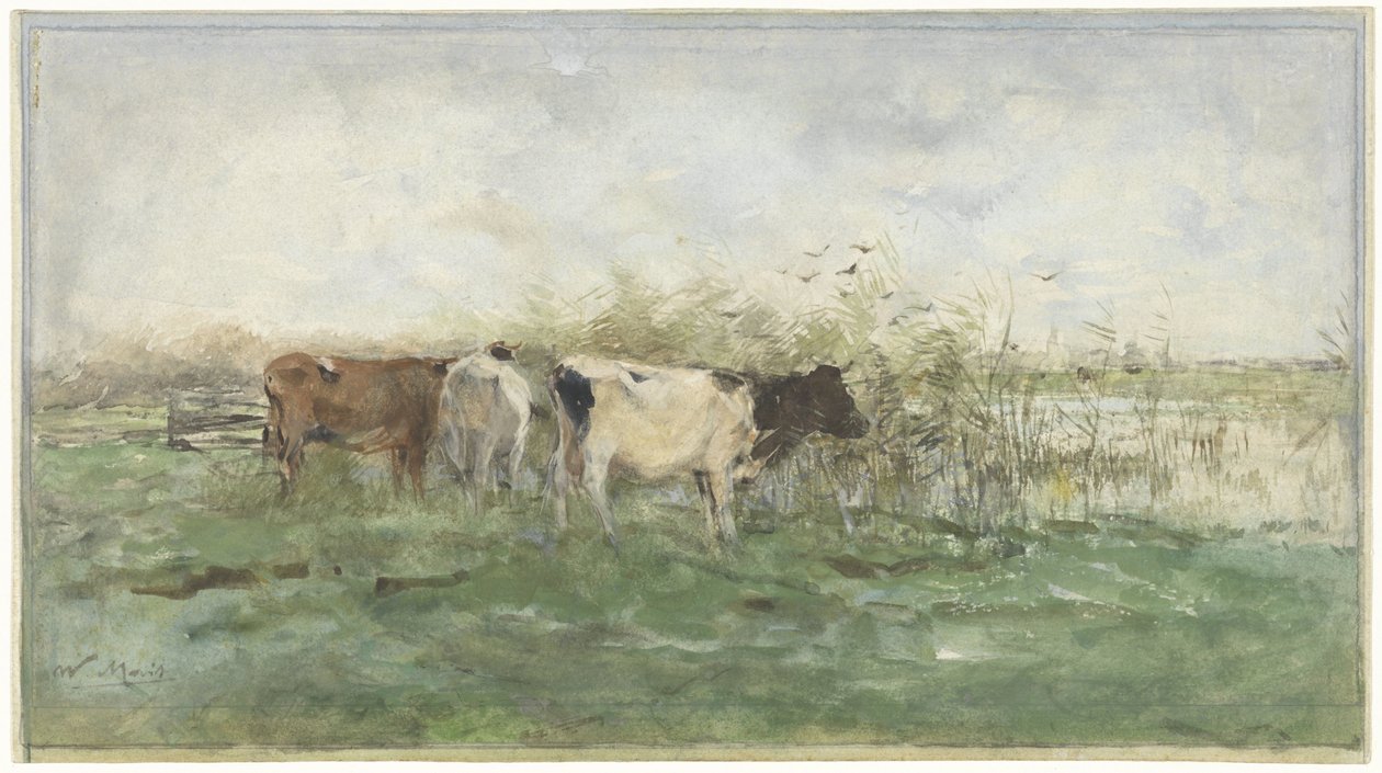 Mucche vicino a uno stagno da Willem Maris