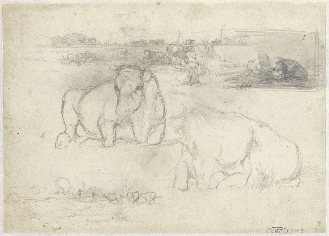 Schizzi di mucche da Willem Maris