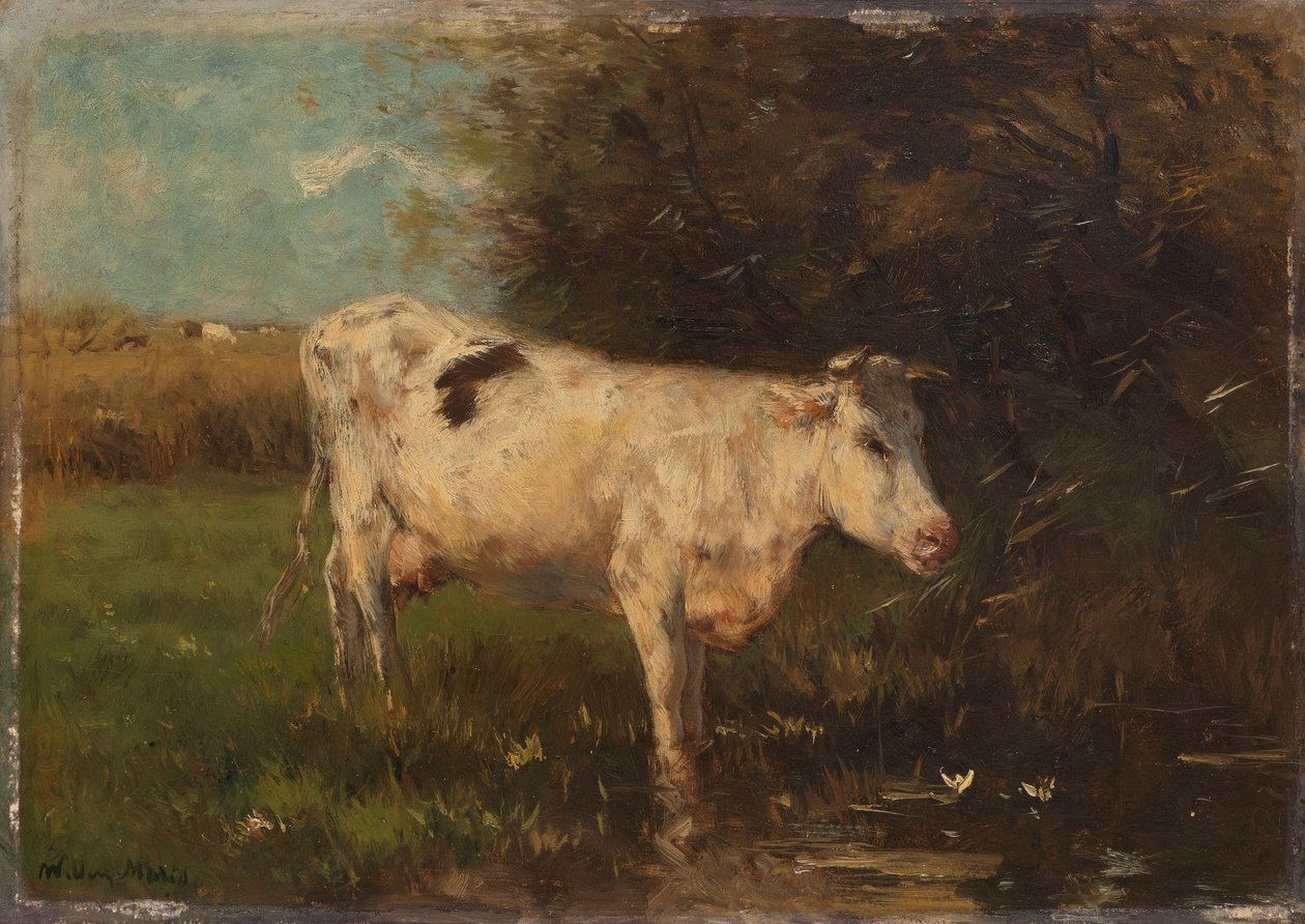 Mucca Bianca da Willem Maris