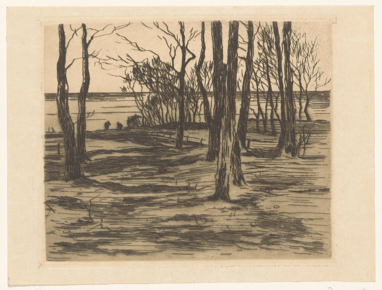 Alberi sulla riva a Valkeveen da Willem Arnoldus Witsen