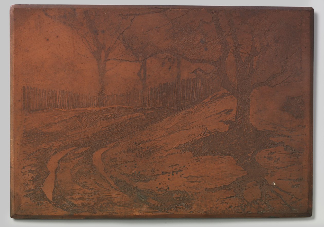 Sentiero tra le dune da Willem Arnoldus Witsen