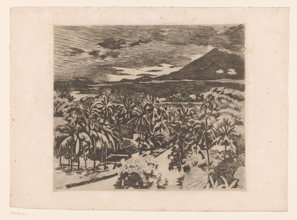 Vista di un paesaggio con alberi di cocco a Buitenzorg da Willem Arnoldus Witsen