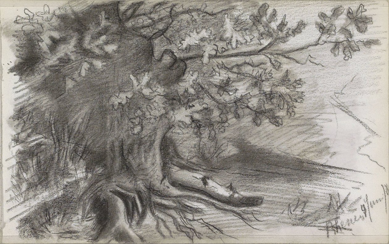 Paesaggio con un grande albero a Rhenen da Willem Arnoldus Witsen