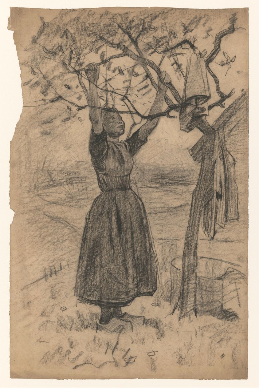 Donna che stende il bucato su un albero, verso destra da Willem Arnoldus Witsen