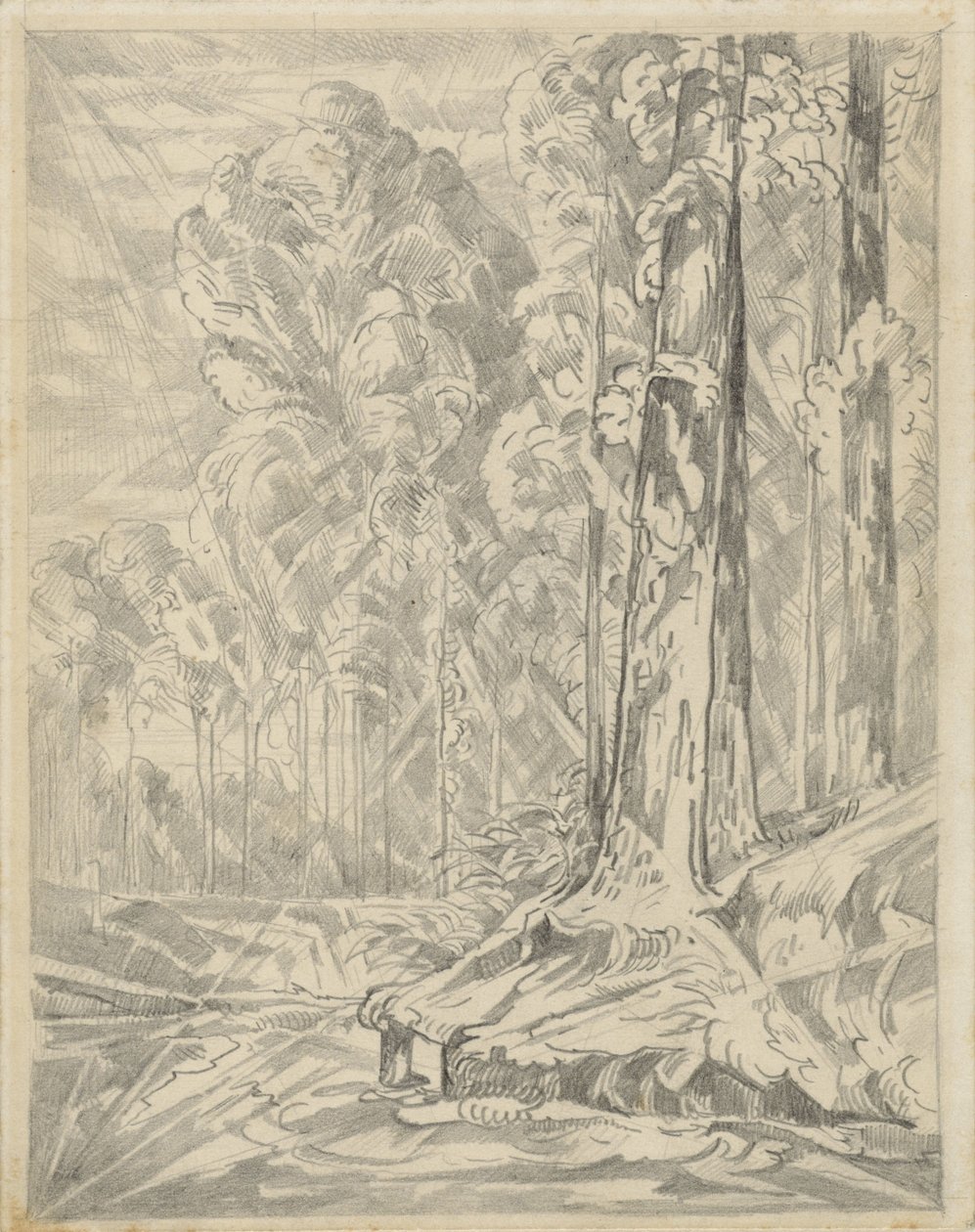 Radura tra alberi alti da Willem van Konijnenburg