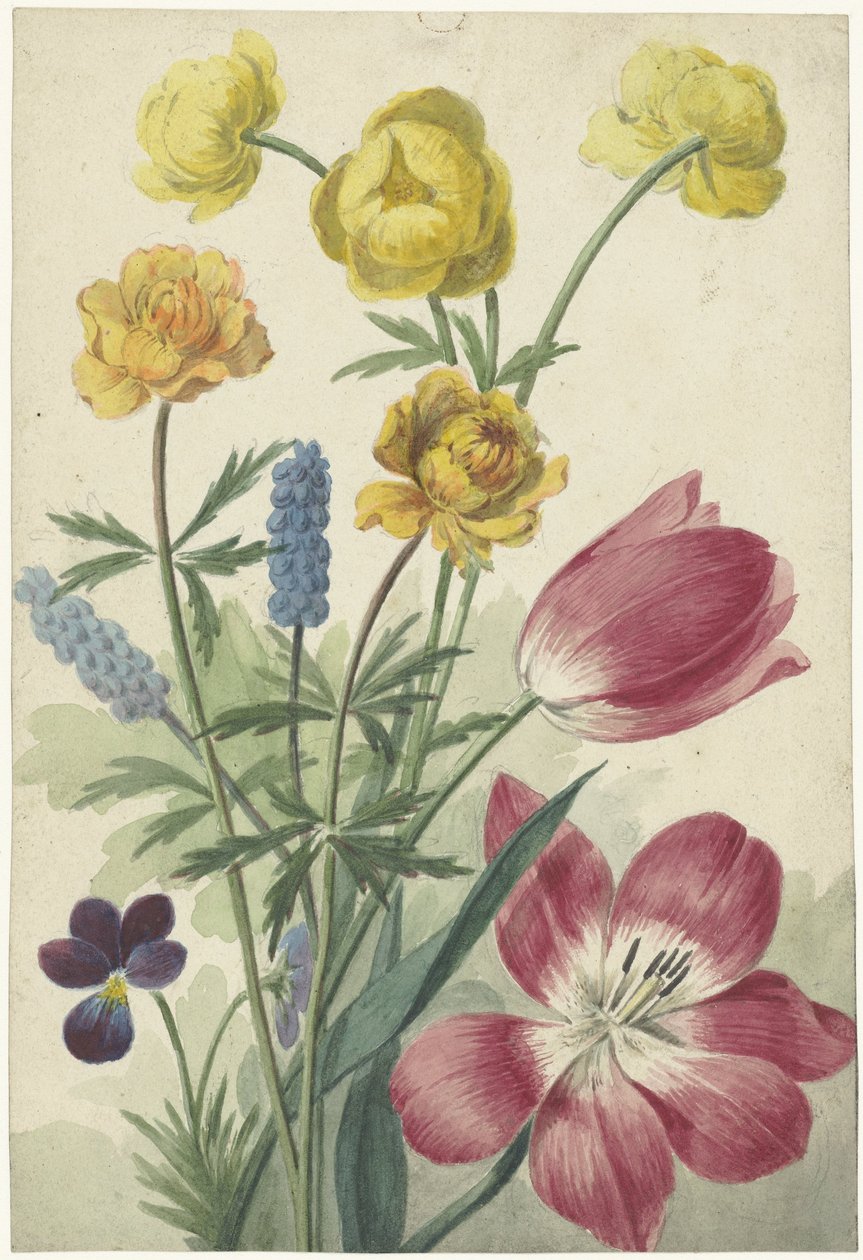 Bouquet di tulipani, violette, muscari e ranuncoli da Willem van Leen