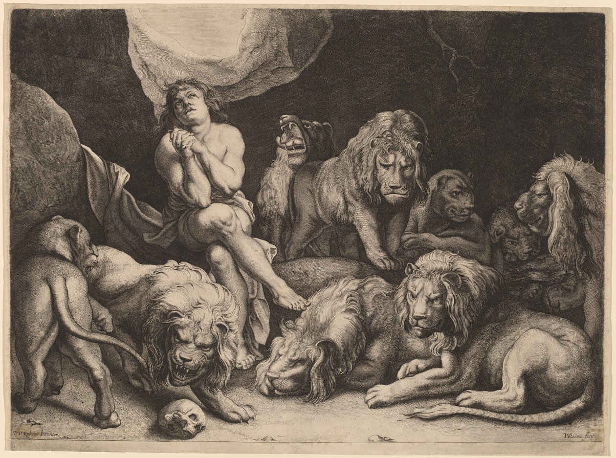 Daniele nella fossa dei leoni da Willem van der Leeuw after Sir Peter Paul Rubens
