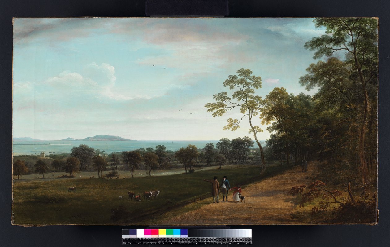 Veduta del Mount Merrion Park da William Ashford