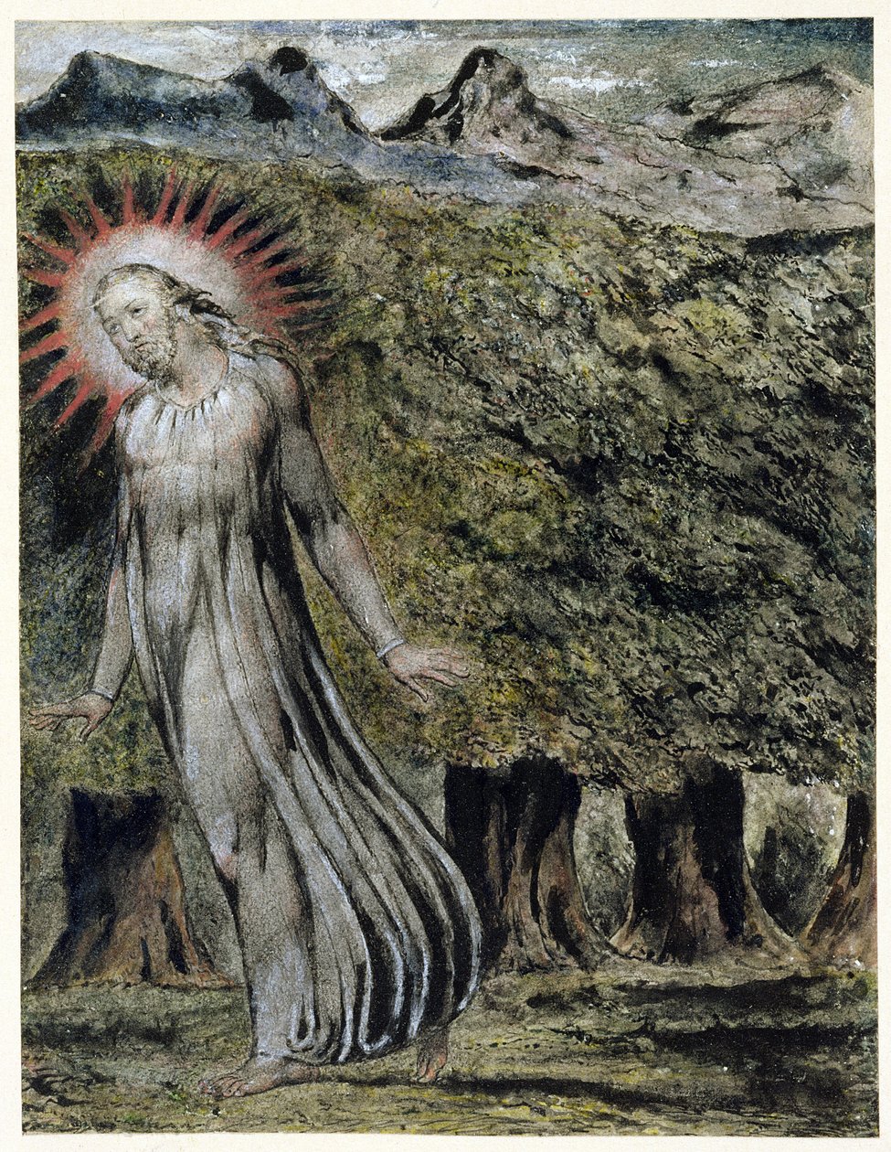 Un profeta nel deserto da William Blake