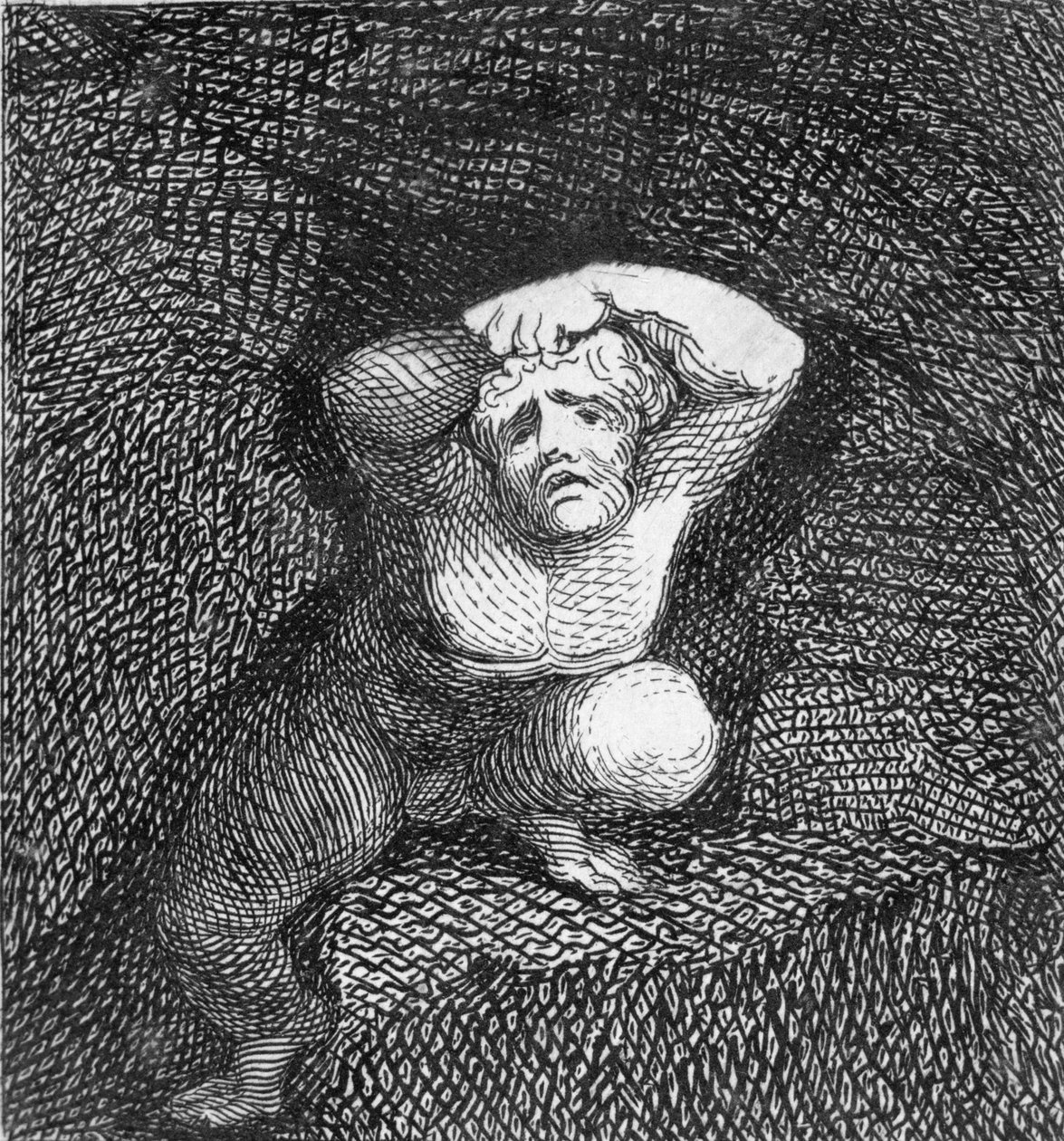 Terra, tavola 5 da 