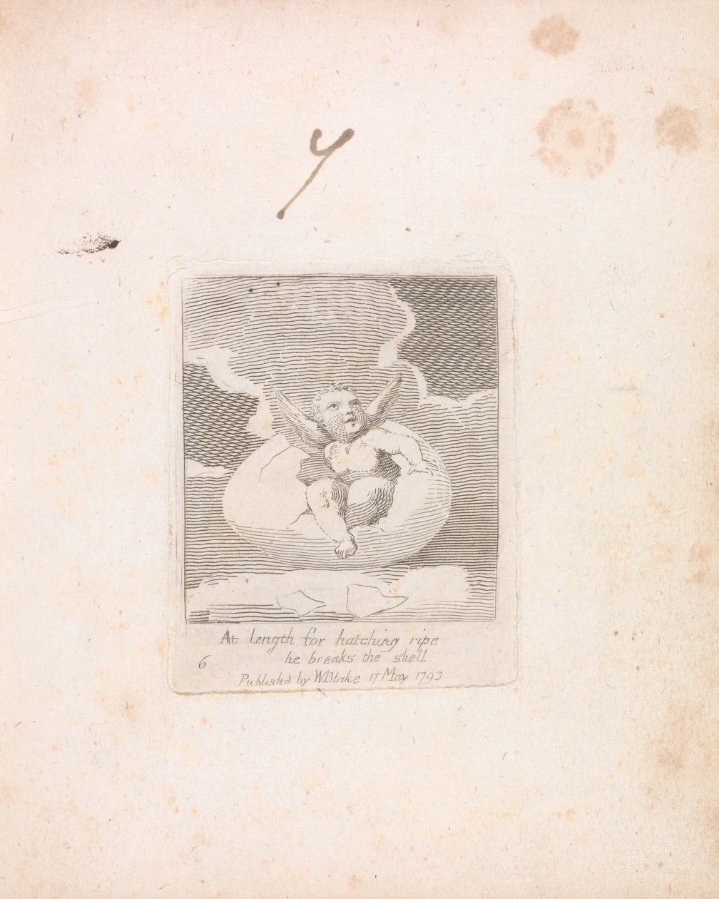 Per Bambini. Le Porte del Paradiso, Tavola 8, Alla fine per la schiusa matura rompe il guscio da William Blake