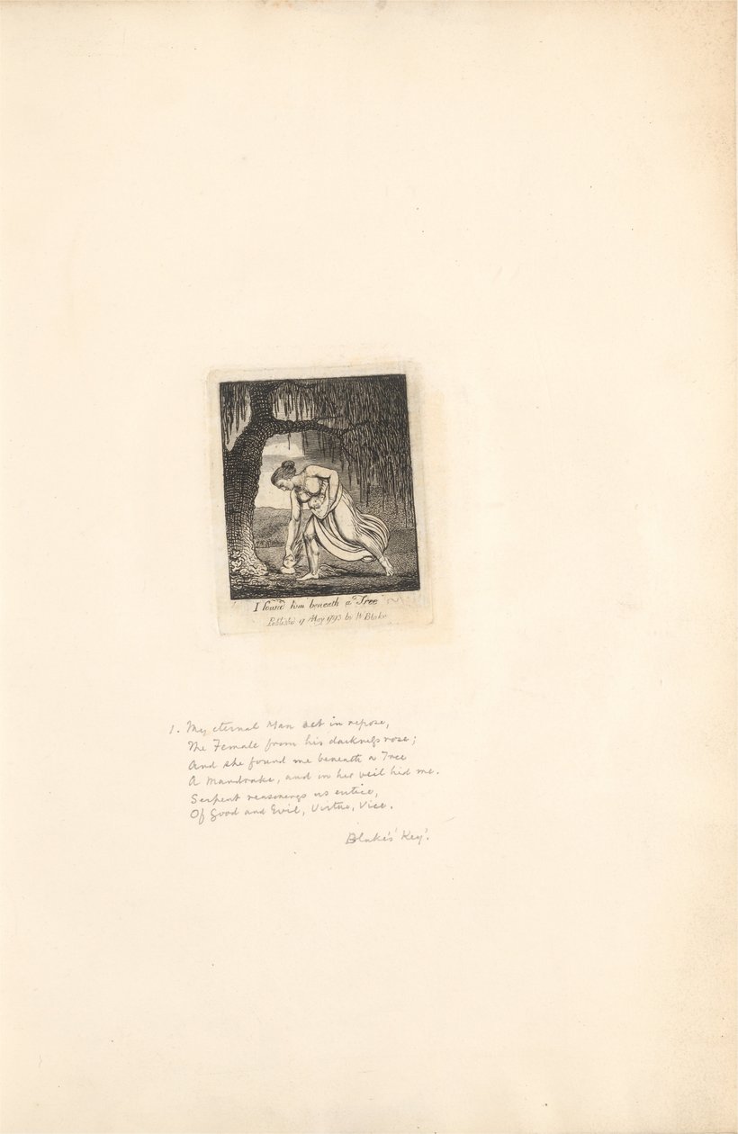 Per i Sessi - Le Porte del Paradiso, Tavola 3, L