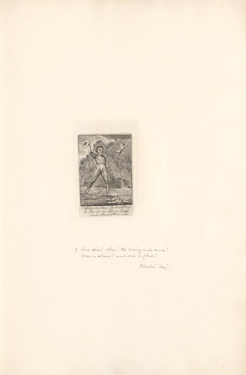 Per i Sessi - Le Porte del Paradiso, Tavola 9, Ahimè! da William Blake