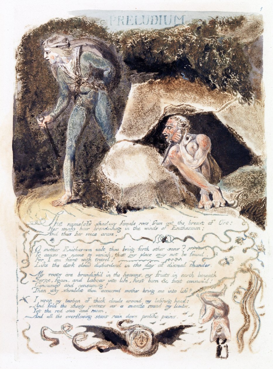 Illustrazione da 