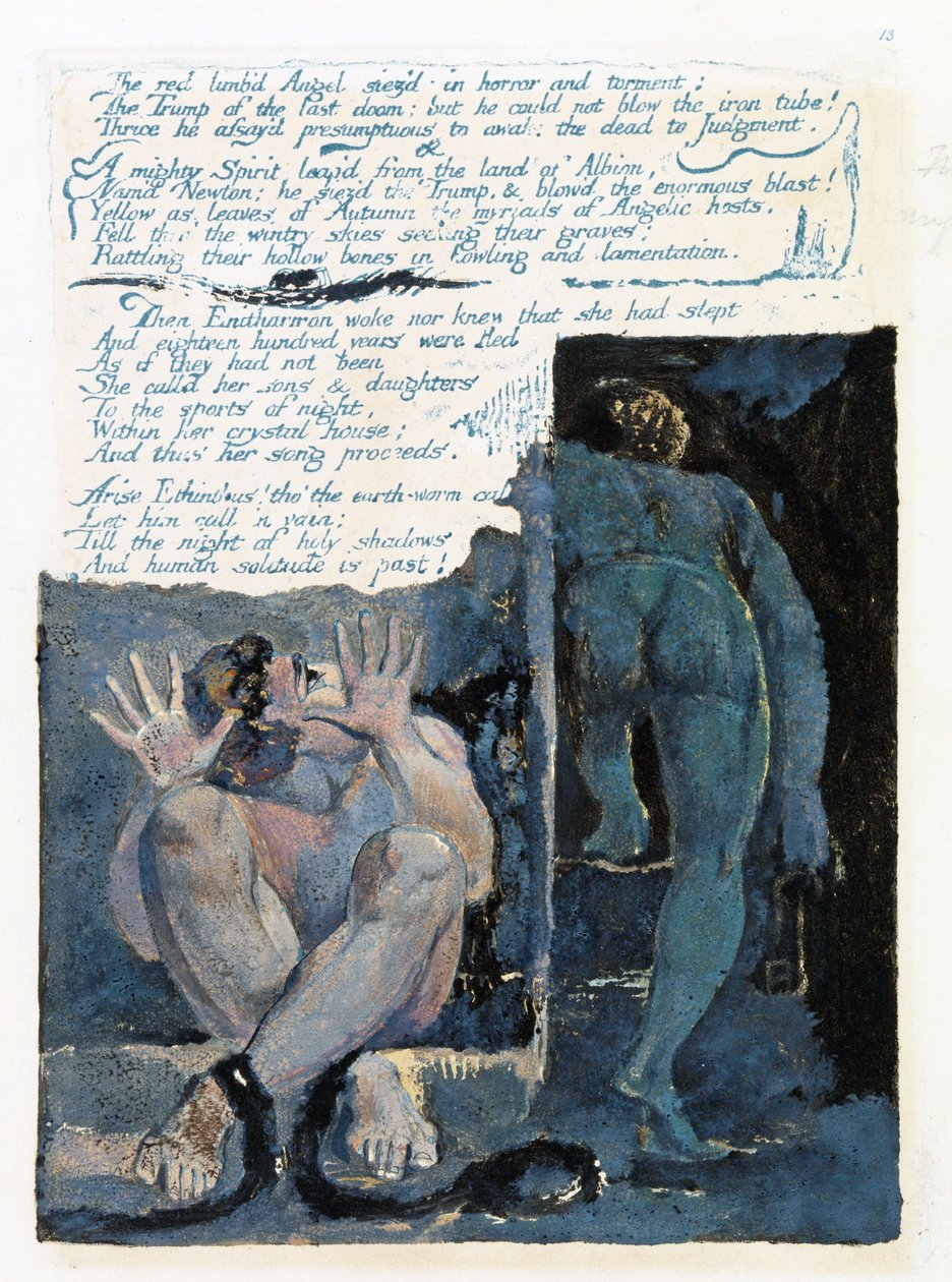 Illustrazione da 