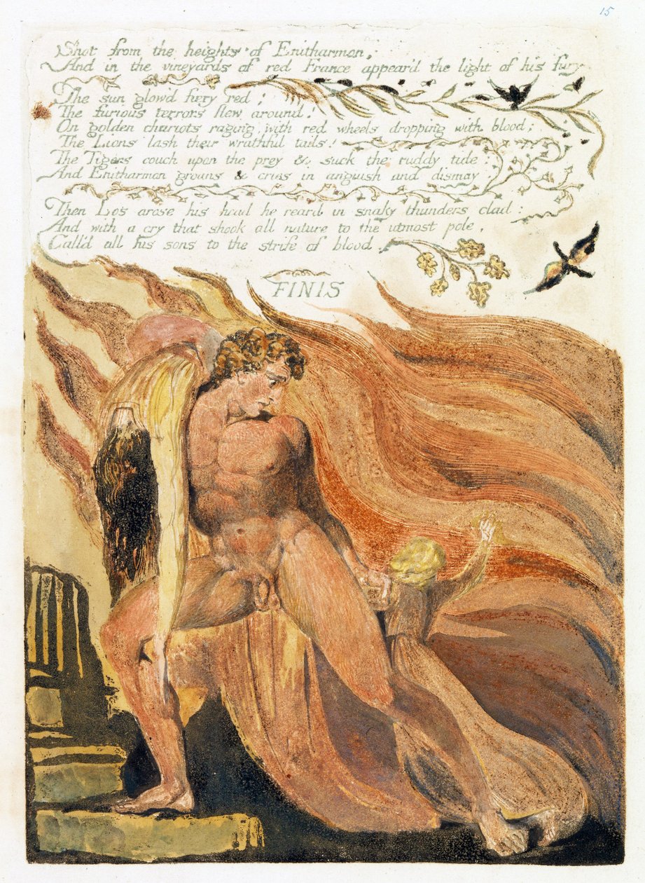 Illustrazione da 