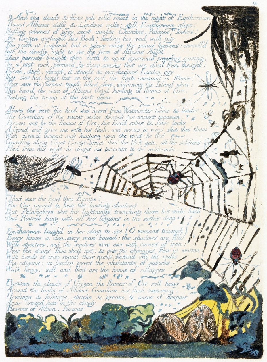 Illustrazione da 
